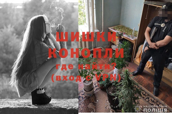 дмт Верея