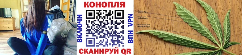 Купить где Славгород Каннабис OG Kush